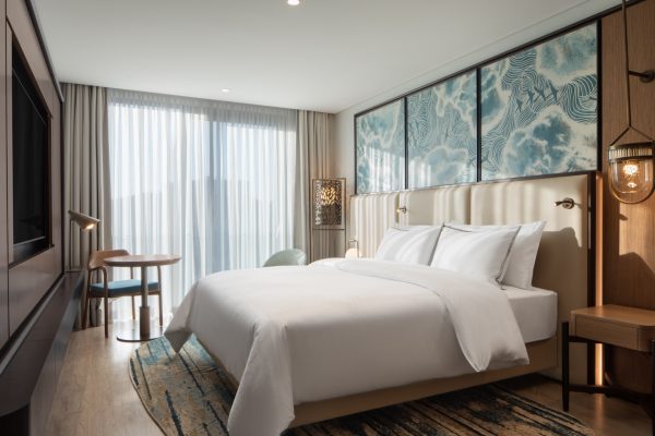 Deluxe and Privilage Rooms (6)